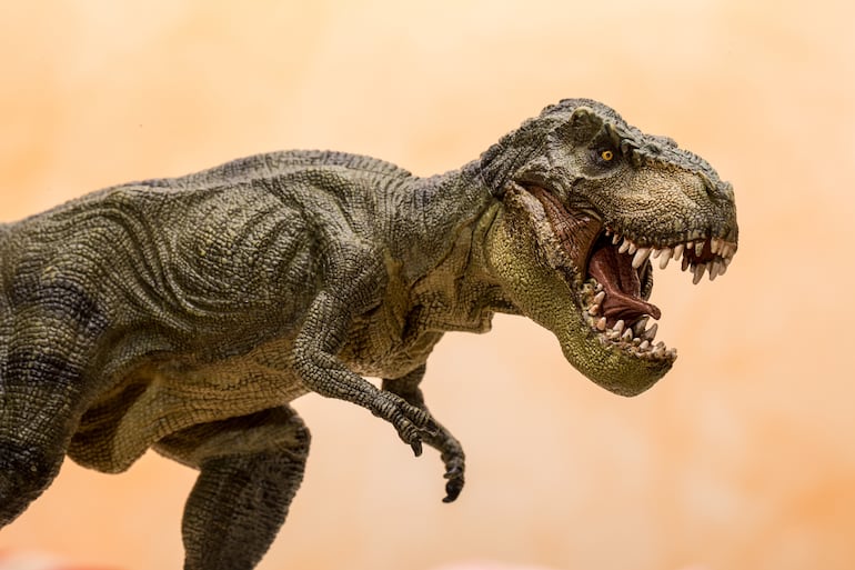 Dinosaurio T-Rex, imagen ilustrativa.