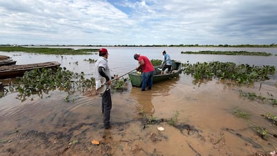 Tres hombres, uno con camiseta blanca y gorro rojo, trabajan en un bote verde en un entorno natural rodeado de agua.