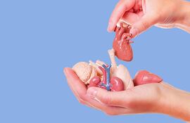 donación de órganos