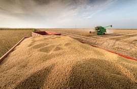 Soja: de la gran producción a refinar la estrategia financiera