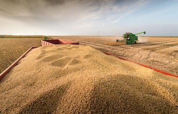 Soja: de la gran producción a refinar la estrategia financiera