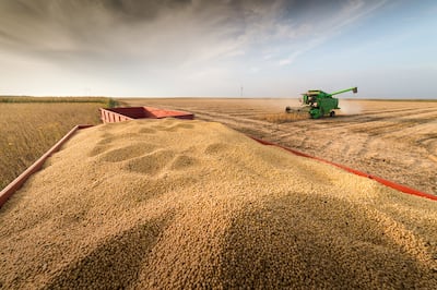Soja: de la gran producción a refinar la estrategia financiera