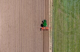 Soja: en sus marcas, listos, fuera