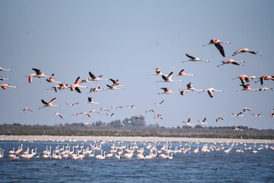Naturaleza a pleno para disfrutar en Córdoba, la nueva ruta de Flybondi desde Asunción, con cinco vuelos semanales.