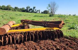 Las evidencias incautadas en el lugar de tala de árboles sin autorización.