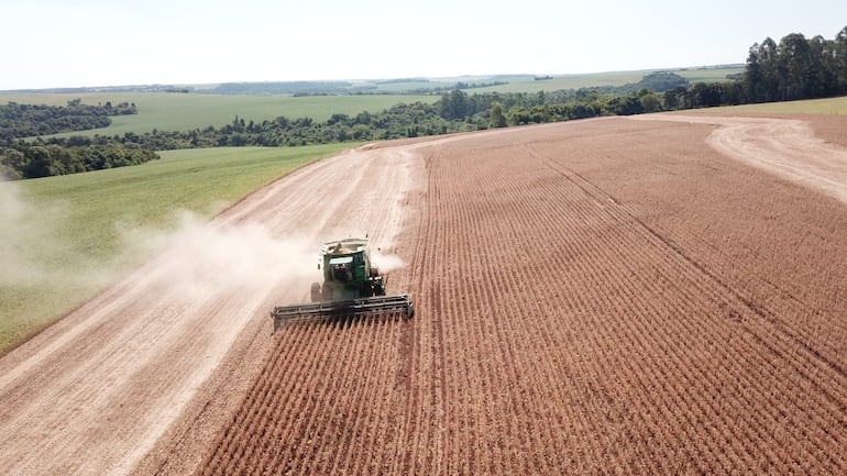 Productores paraguayos cuestionan normativa de la Unión Europea sobre el aceite de soja
