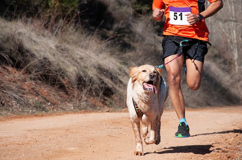 Carrera con perros.