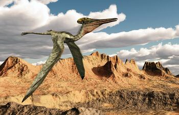 Pterosaurio, ilustración.