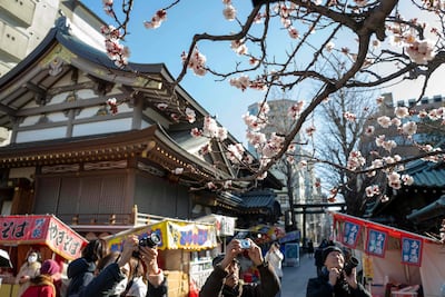 Natalidad cae por décimo año en Japón. (archivo)