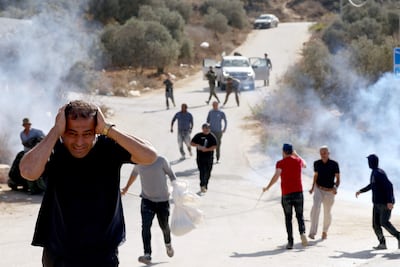 Tres palestinos resultaron heridos en distintas localidades de Cisjordania cuando recogían aceitunas por ataques perpetrados por colonos israelíes.