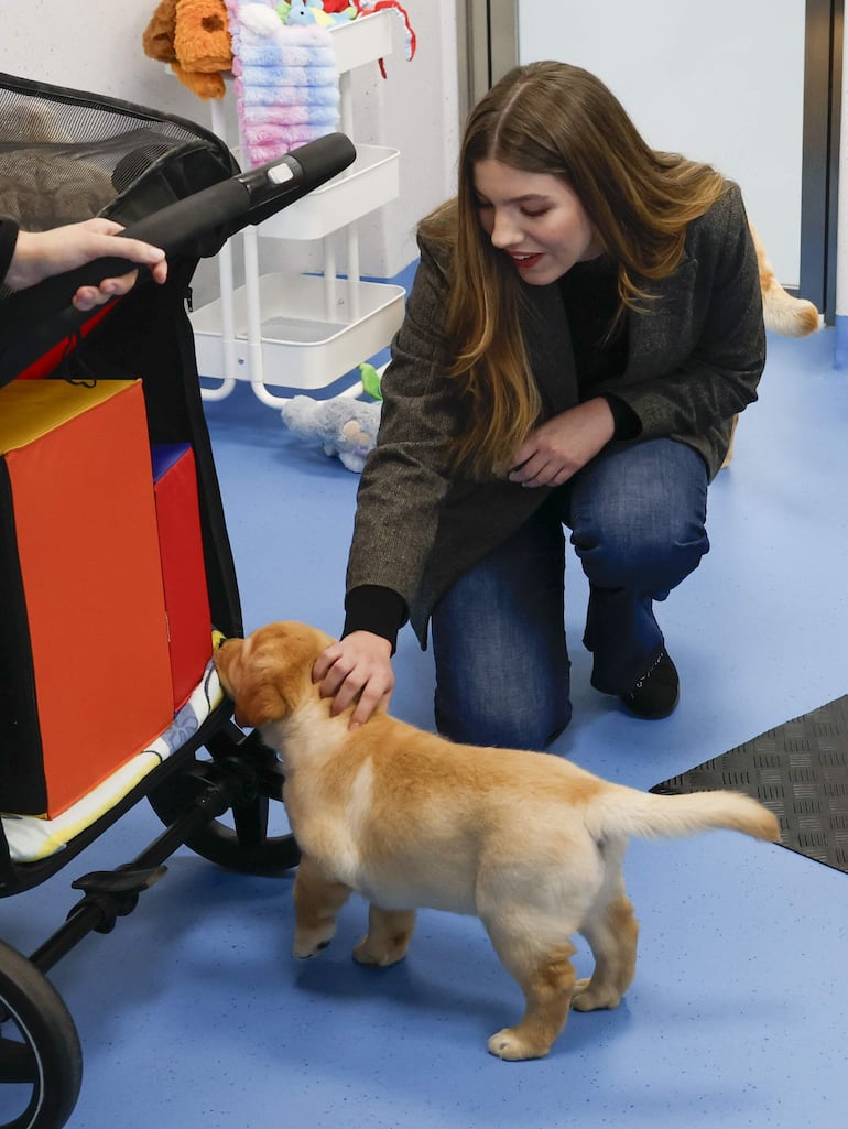 Sofía de España quedó encantanda con los cachorritos del Centro de Cría y Adiestramiento de la Fundación ONCE del Perro Guía. (EFE/ J.J. Guillén POOL)
