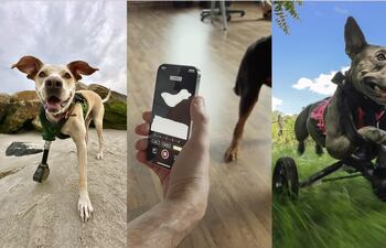 Apple ha recogido la labor de la empresa estadounidense en el marco de su última campaña 'Shot on iPhone' titulada The Invincibles (Los invencibles).