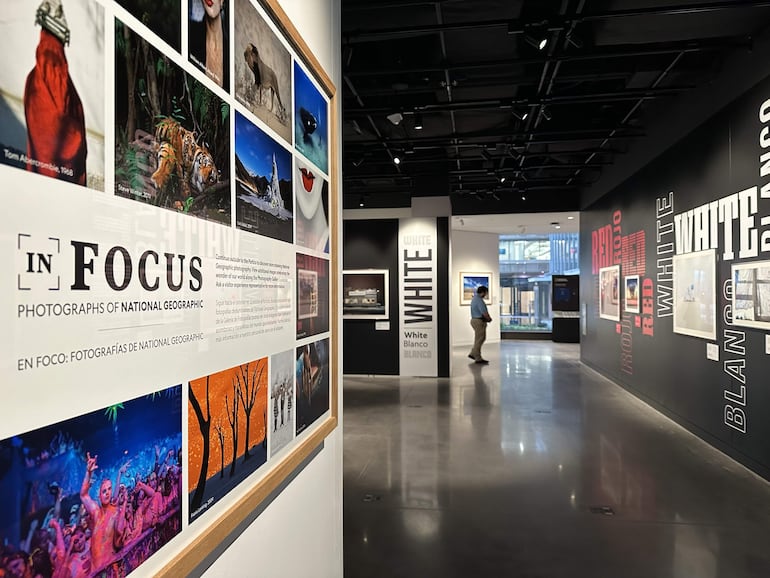 Fotografía del 22 de junio de la sección 'En Foco', una exhibición de fotografías de National Geographic expuestas en el Museo de la Exploración de la NatGeo, el nuevo museo de la National Geographic en Washington. 