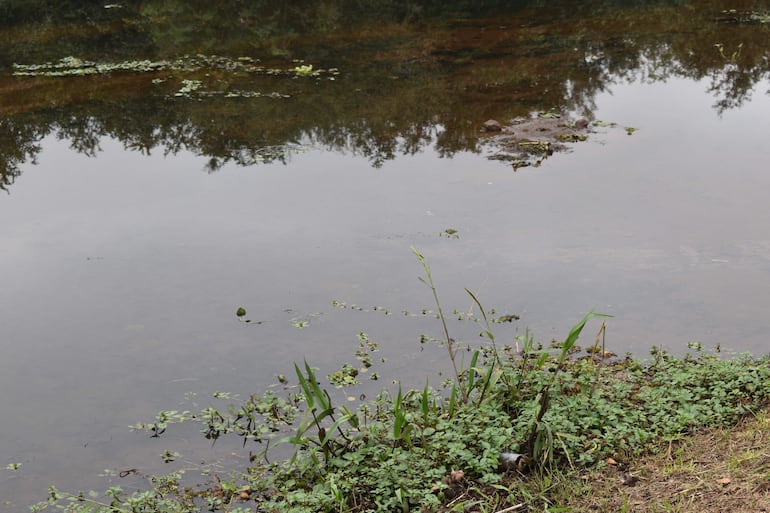 El agua del Arroyo Poti'y refleja el entorno natural, con vegetación flotante y orillas cubiertas de hierbas.