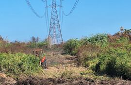 La ANDE intensifica el mantenimiento preventivo de Líneas de Transmisión de 220 kV.