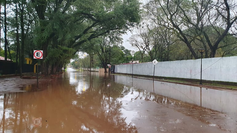Calle inundada en Ciudad del Este, rodeada de árboles con ramas secas y agua estancada reflejando el entorno.