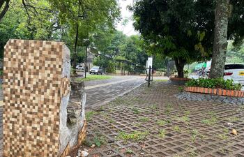 Estado del paseo central de la Avda Caballero.