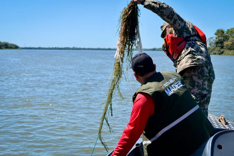 Finaliza el plazo de venta de productos pesqueros en Ayolas tras inicio de la veda 2025