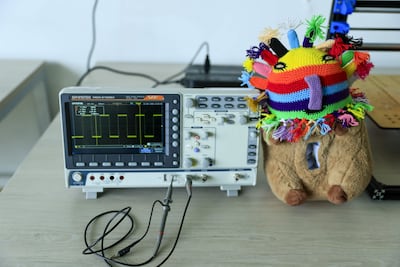 ACOMPAÑA CRÓNICA: ECUADOR TECNOLOGÍA AME280. QUITO (ECUADOR), 27/10/2026.- Fotografía del 13 de octubre de 2026 del 'Capibot' un prototipo de un robot-peluche con aspecto de capibara creado para apoyar procesos de interacción y acompañamiento terapéutico de niños con Trastorno del Espectro Autista (TEA), en Quito (Ecuador). EFE/ José Jácome