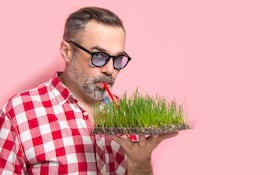 ¿Realmente funcionan los jugos detox?