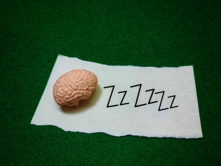 Concepto de cerebro en reposo.