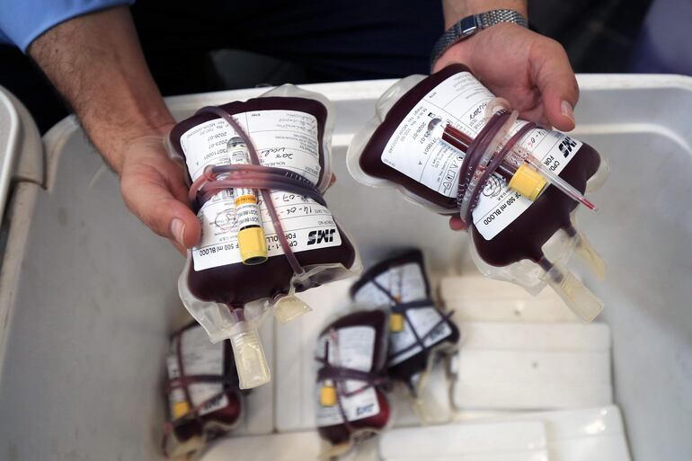 Bolsas de sangre donada son almacenadas en una conservadora.