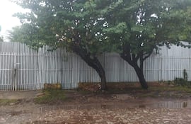 Un patio trasero deteriorado con reja blanca y árboles frondosos, sin personas visibles. Camino de tierra con charcos.