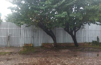 Un patio trasero deteriorado con reja blanca y árboles frondosos, sin personas visibles. Camino de tierra con charcos.