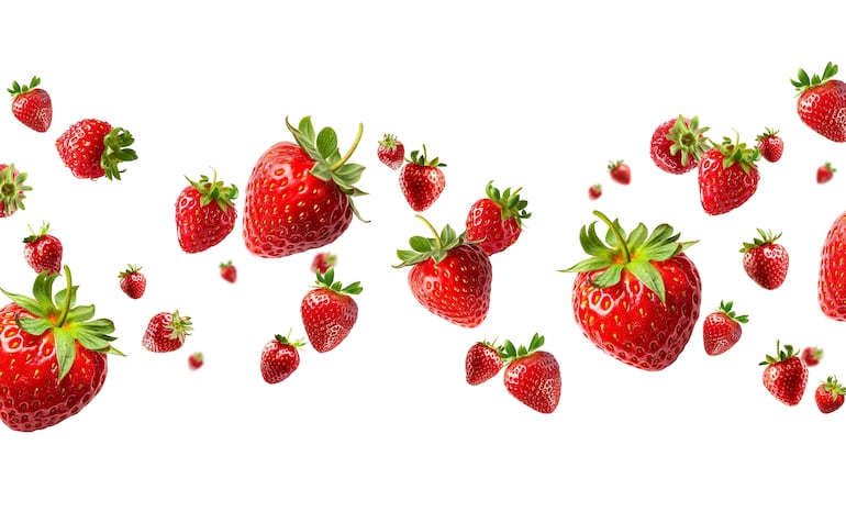 La frutilla fue introducida al Paraguay por rusos blancos que llegaron desde Francia en la posguerra del Chaco.