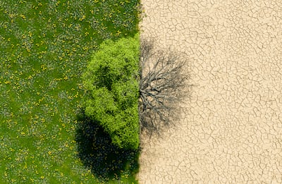 Concepto de cambio climático.