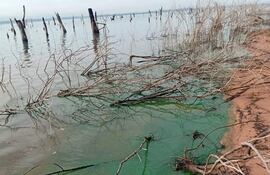 El lago Yguazú con una proliferación de algas.