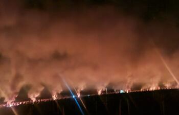 Esta imagen corresponde a esta madrugada en una finca de locote y tomate ubicada en la compañía San Antonio de Unión