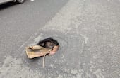Un bache en la calle de Padre Juan Pucheu genera un riesgo para los conductores.