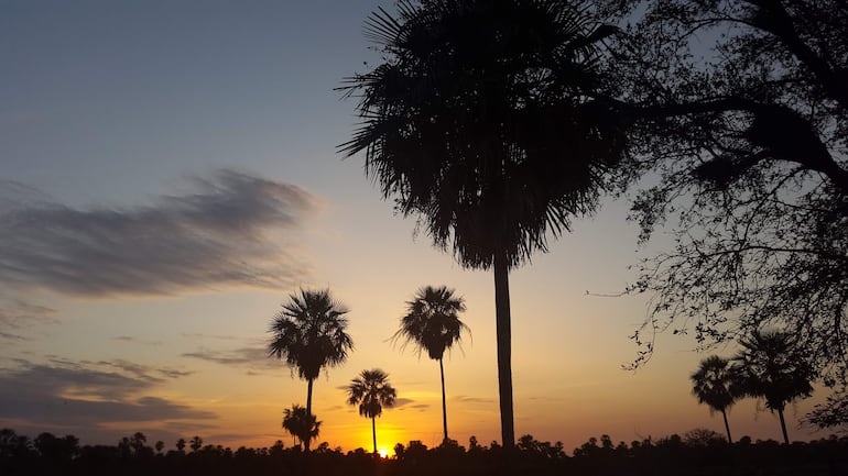Atardecer en Fuerte Olimpo con palmeras iluminadas por luz dorada y cielo colorido, sin figuras humanas presentes.
