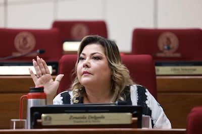 Zenaida Delgado (Senadora Cruzada Nacional) durante la sesión del Senado.