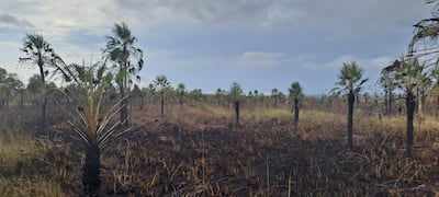 Así quedó la reserva Aguapey, ubicada en el límite entre Luque y San Bernardino, luego del incendio.