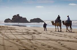 Camellos son obligados a transportar turistas de más de 100 kilos.