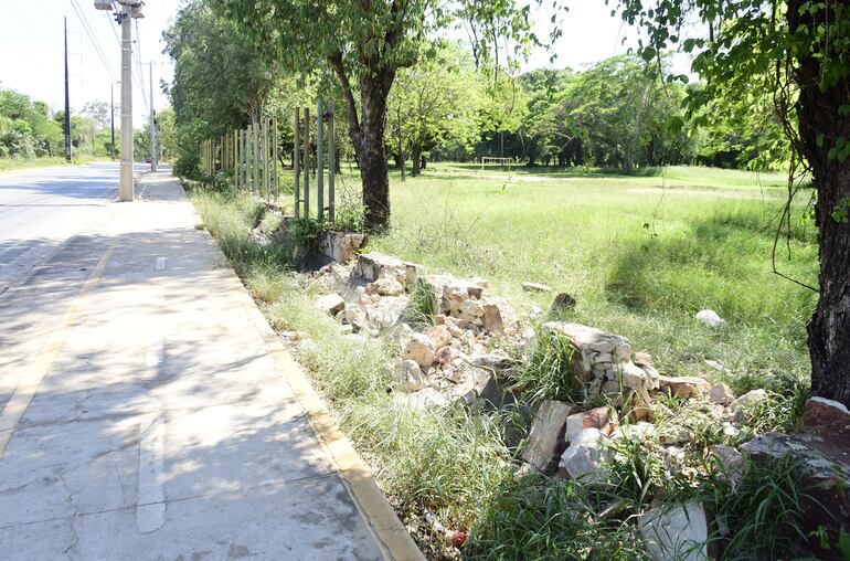 El abandono del Jardín Botánico es notorio en todos los sectores del espacio verde.