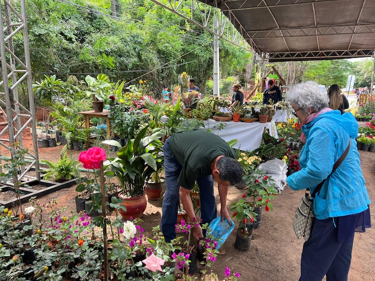 Los visitantes aprovechan la jornada para recorrer la expoferia y llevar sus plantas y flores favoritas.