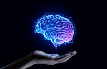 “Al analizar millones de células de múltiples trastornos cerebrales, descubrimos que muchas enfermedades comparten vías moleculares, al tiempo que presentan firmas celulares distintivas”, señala uno de los autores, Donghoon Lee, investigador en psiquiatría y genética de Mount Sinai.