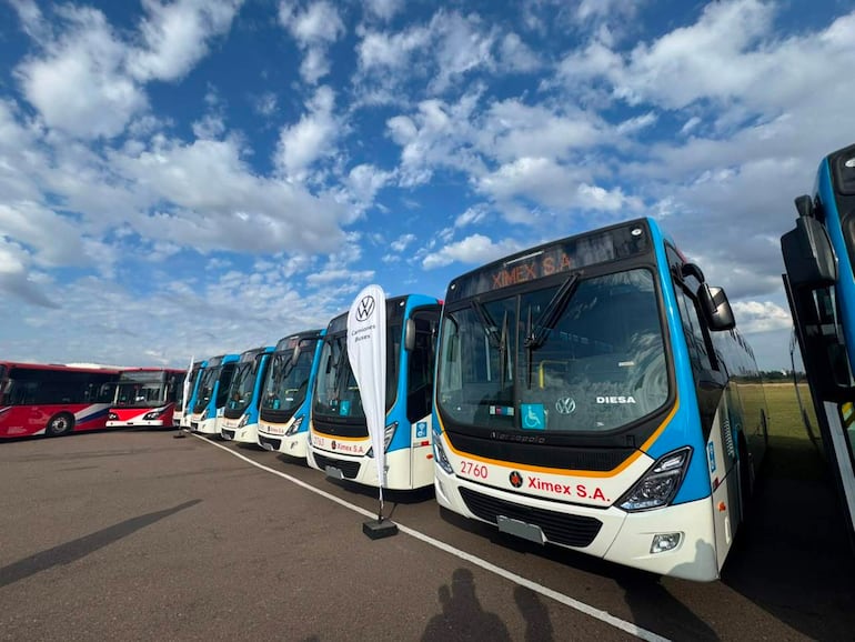 Fila de buses de Ximex S.A., estacionados bajo un cielo nublado, con distintivos visibles de la empresa y el logo de Volkswagen.