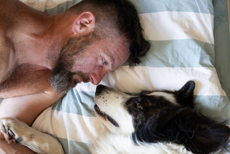 Perro en la cama de sus humanos.