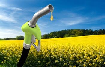 La producción de biodiesel en Paraguay con potencial de crecimiento.