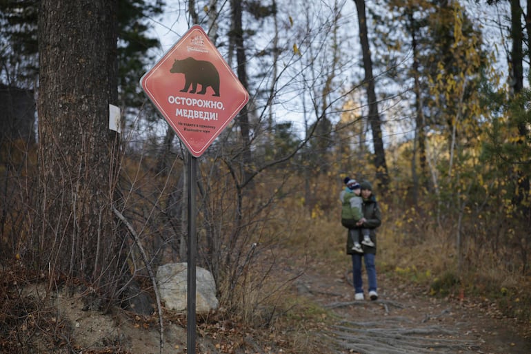 Un cartel que advierte sobre la presencia de osos está instalado en un sendero de excursionismo del Parque Nacional del lago Baikal, en la región de Irkutsk, Rusia, el 9 de octubre de 2026.