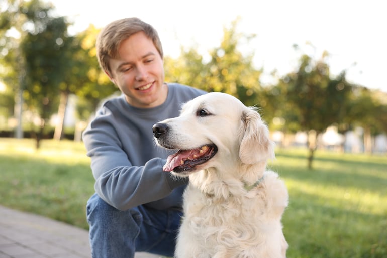 Perro de la raza golden retriever.