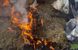 Los antidrogas incineraron el estupefaciente en el lugar allanado.