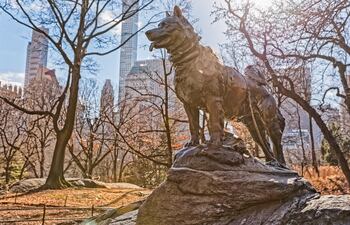 Estatua de bronce en honor a Balto, el husky siberiano valiente. Central Park, Nueva York.