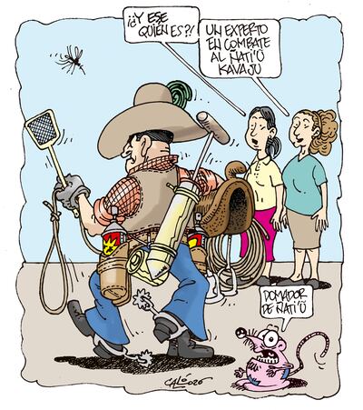 EXPERTO