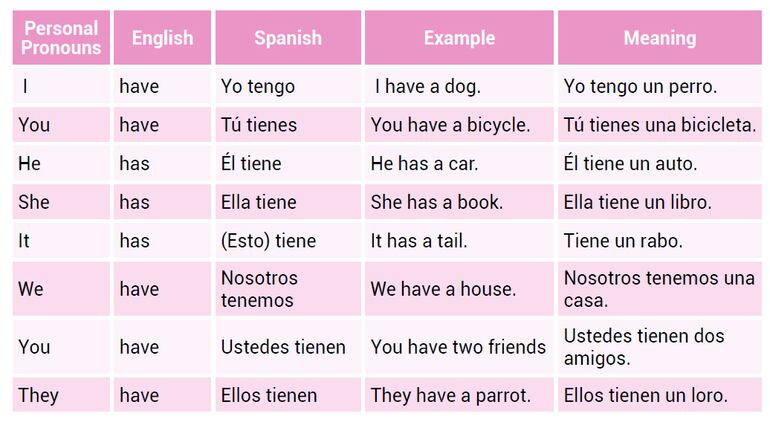 Verb have