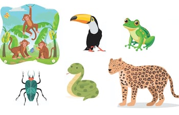 Qué sonidos hacen los animales de la selva